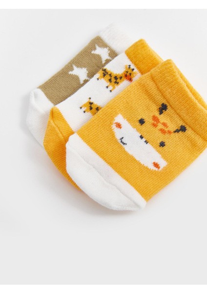 Baby Baskılı Erkek Bebek Patik Çorap 3'lü
