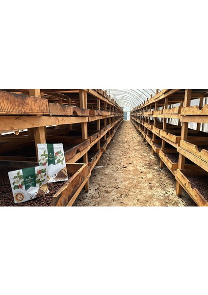 Guatemala Anaerobic Chimaltenango modelleri