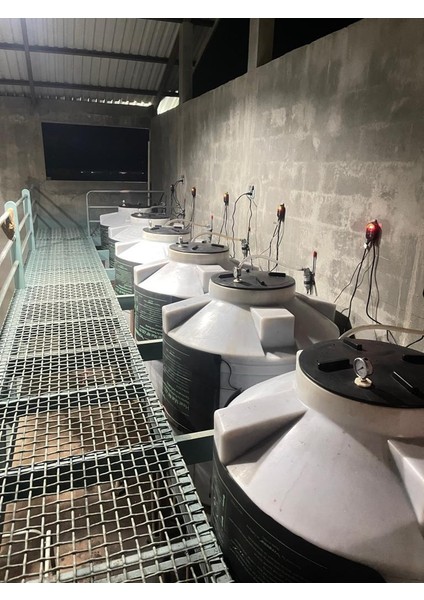 Guatemala Anaerobic Chimaltenango fırsatları