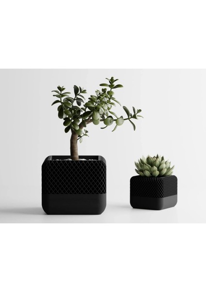 Modern Square Apple Home Pod Style Vazo