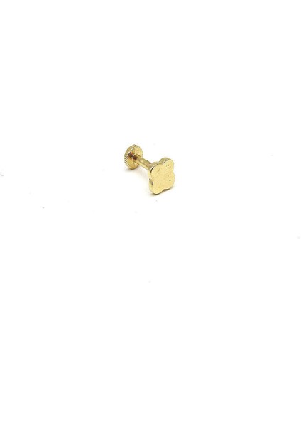 Tragus Düz Papatya Modeli 14 Ayar Altın