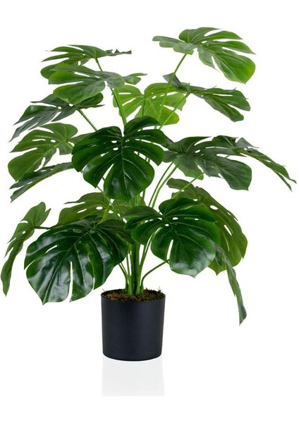Siyah Saksıda Yapay Monstera Ağacı 60 cm