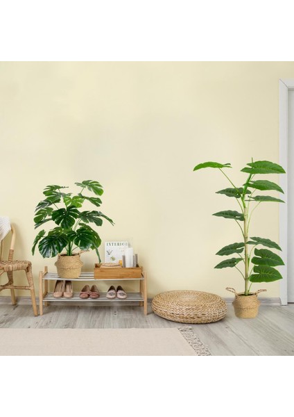 Siyah Saksıda Yapay Monstera Ağacı 60 cm modelleri