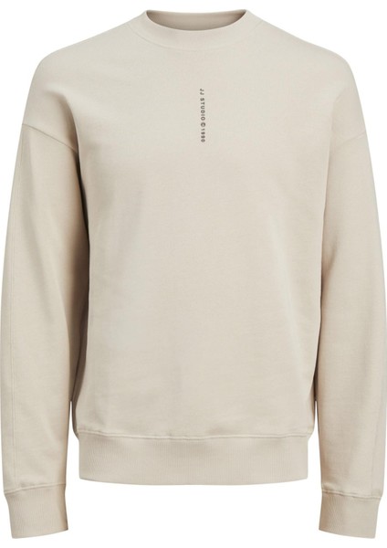 Jjmıcah Sweat Crew Neck TAŞ12256808 modelleri