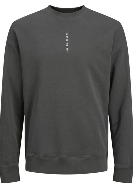 Jack & Jones Jjmıcah Sweat Crew Neck ANTRASİT12256808