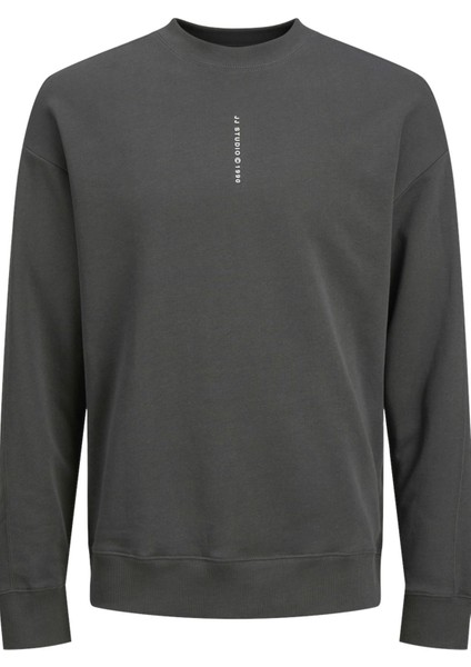 Jack & Jones Jjmıcah Sweat Crew Neck ANTRASİT12256808