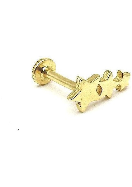 Kuyruklu Yıldız Tragus 14 Ayar Altın Küpe