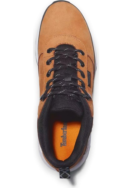 TB0A2A58 Field Trekker Low Lace Up Sneaker Erkek Bot modelleri