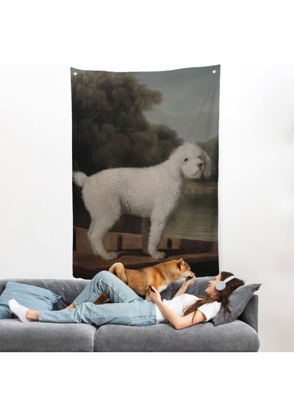 George Stubbs Beyaz Kaniş Duvar ÖRTÜSÜ-8034