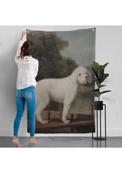 George Stubbs Beyaz Kaniş Duvar ÖRTÜSÜ-8034 modelleri