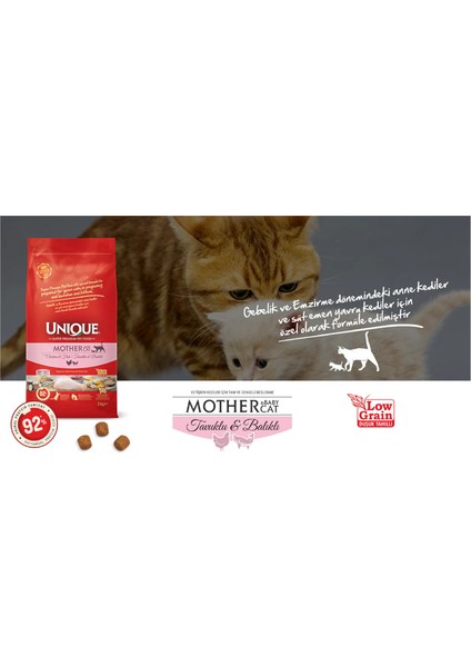 Anne ve Yavru Kedi Maması (Mother&babycat) Tavuklu&balıklı 2 kg