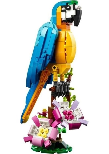 31136 LEGO Creator 3in1 - Egzotik Papağan 253 Parça +7 Yaş