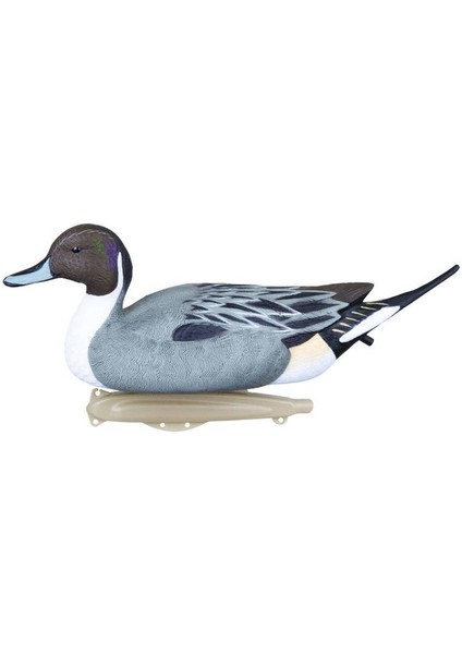 Premium Mallard Ördek Mühre