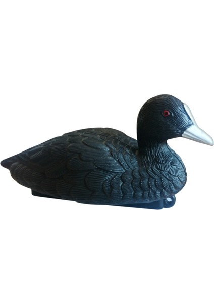 Sakarmeke Ördek Mühresi