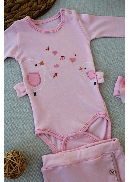 3-6 6-9 9-12 Ay Şarkıcı Kuşlar Nakışlı Bandanalı Uzun Kollu Zıbınlı 3lü Kız Bebek Takımı fiyatları