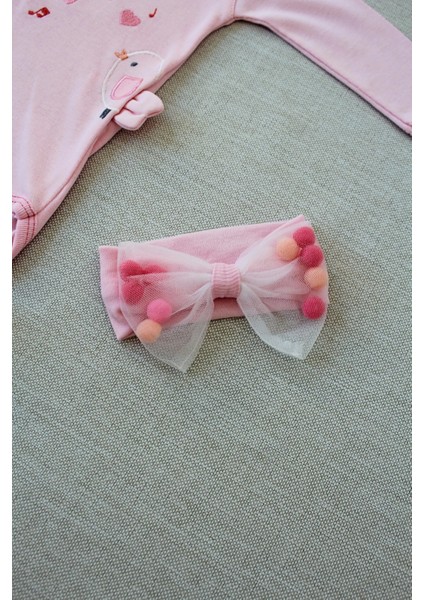 3-6 6-9 9-12 Ay Şarkıcı Kuşlar Nakışlı Bandanalı Uzun Kollu Zıbınlı 3lü Kız Bebek Takımı fırsatları