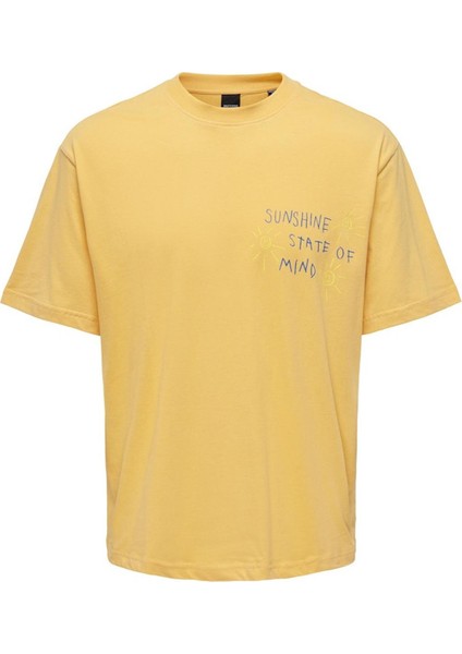 O Yaka Baskılı Turuncu Erkek T-Shirt Onsmanı Lıfe Rlx Hıdeout Ss Tee