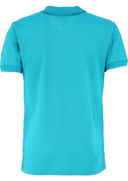 Desenli Yeşil Erkek Polo T-Shirt 241V3A1604 fiyatları