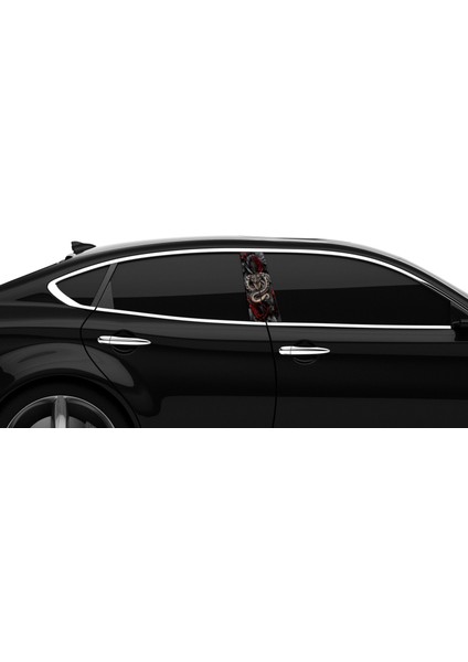 Araba Etiketleri, Tuning Kaplama, Direk Folyosu - Yılan, Kırmızı Güllü Yılan modelleri