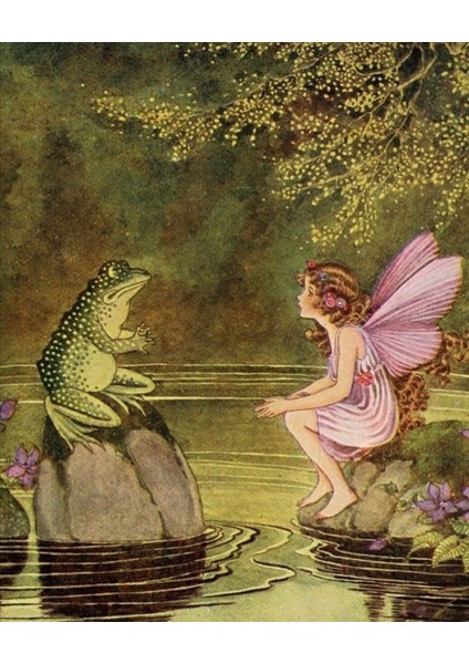 Kurbağa Pixie Duvar Posteri fiyatları