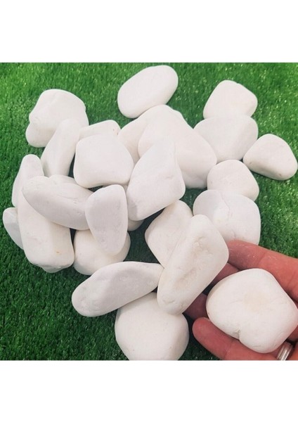 Beyaz Dolomit Taş 15 kg 2-4 cm Dolomit Taş Saksı Dibi Dekoratif Taş Bahçe Süsleme Taşı Peyzaj No.4-5