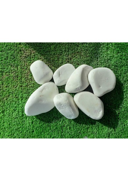 Beyaz Dolomit Taş 15 kg 2-4 cm Dolomit Taş Saksı Dibi Dekoratif Taş Bahçe Süsleme Taşı Peyzaj No.4-5
