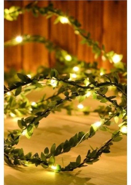 Tekno Trust Çok Renkli Dekoratif LED Işıklı Sarmaşık Lamba 3 Metre modelleri