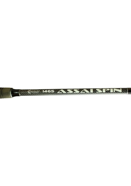 Assai 290 cm 30-125G Atarlı Karbon Shore Jig Olta Kamışı