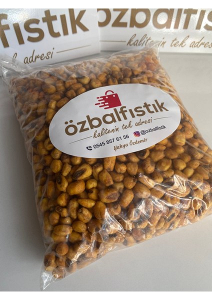 Soslu Mısır