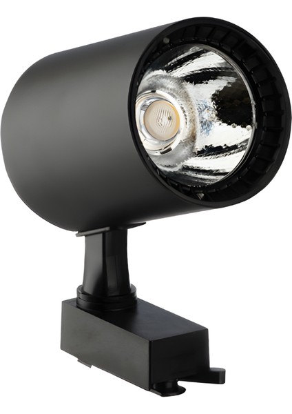 30W Ray Spot Siyah Kasa 3000K (Günışığı)