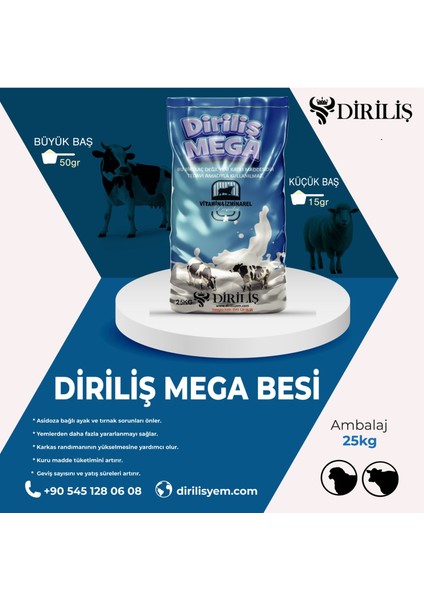 Megabesi 25 kg Yem Katkı