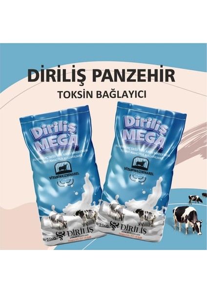 Megapanzehir 25 kg Yem Katkı