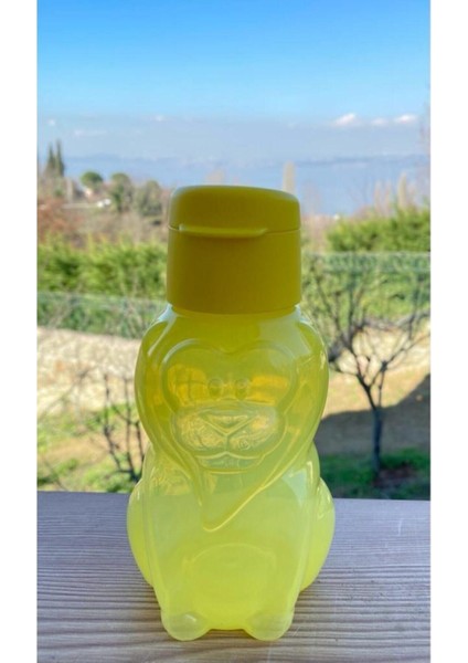 Figürlü Şişe