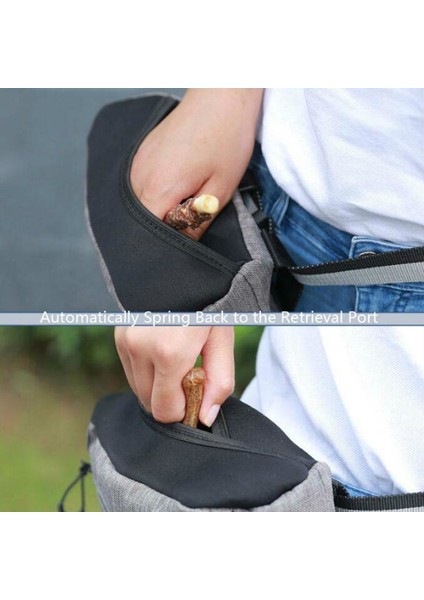 Pet Snack Bag (Yurt Dışından) indirimleri