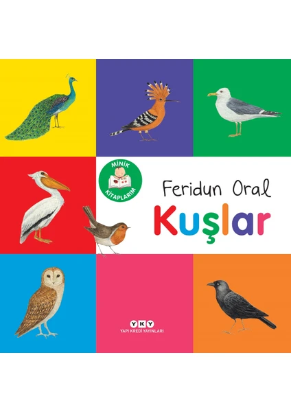 Minik Kitaplarım - Kuşlar - Feridun Oral