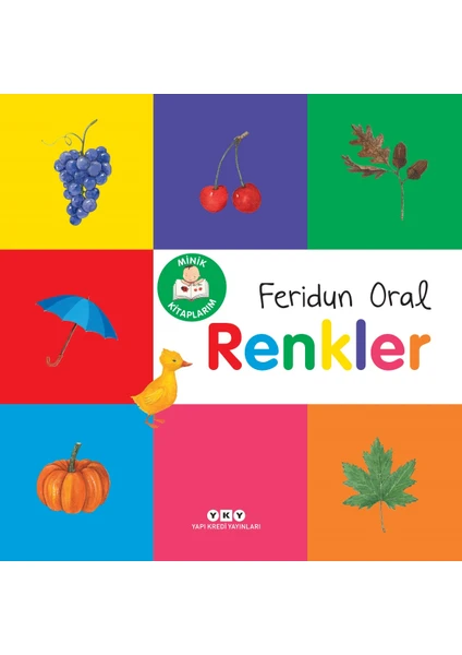 Minik Kitaplarım - Renkler - Feridun Oral