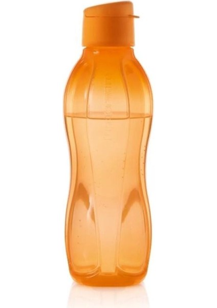 Eco Suluk 750 ml Şeffaf Gövde ile Kolay İçerik Takibi 2'li Set modelleri