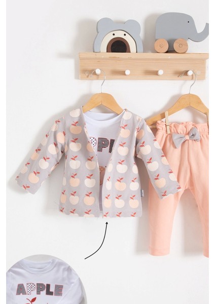 3-6-9-12-18 Ay Kız Bebek Takımı Elma Desenli Ceketli 3'lü Somon fiyatları