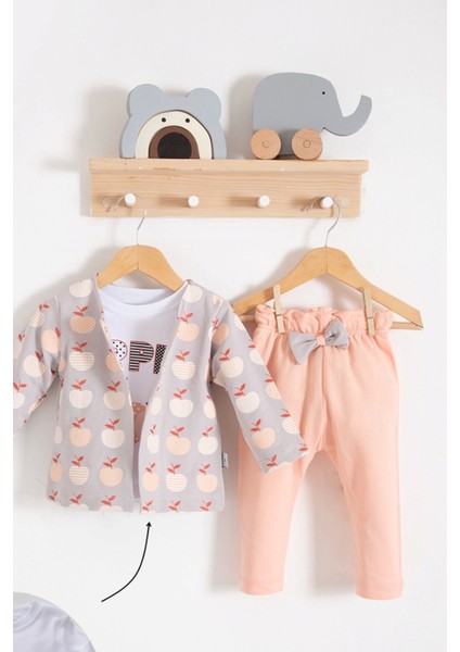 3-6-9-12-18 Ay Kız Bebek Takımı Elma Desenli Ceketli 3'lü Somon modelleri