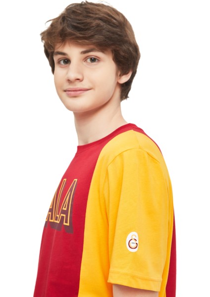 Galatasaray Erkek T-Shirt Y241222 fiyatları
