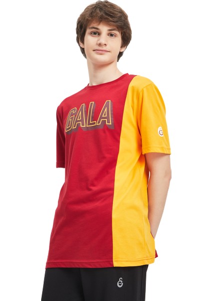 Galatasaray Erkek T-Shirt Y241222 indirimleri