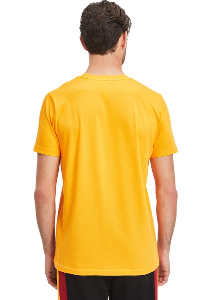 Galatasaray Erkek T-Shirt E241126 modelleri