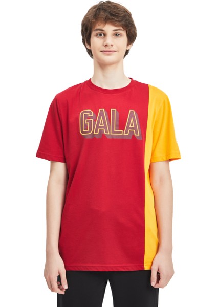 GS Store Galatasaray Erkek T-Shirt Y241222