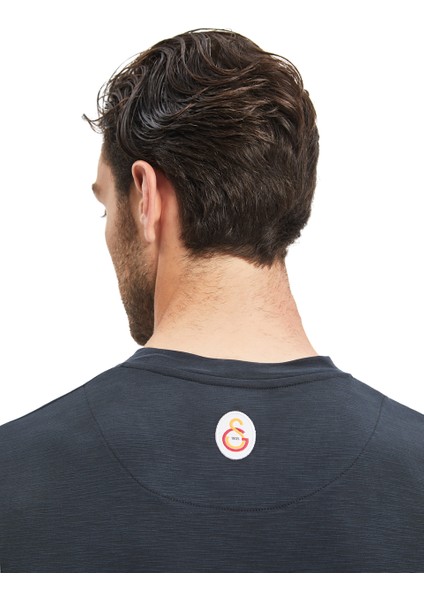 Galatasaray Erkek T-Shirt E241098 fırsatları