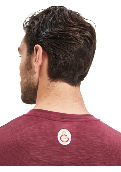 Galatasaray Erkek T-Shirt E241098