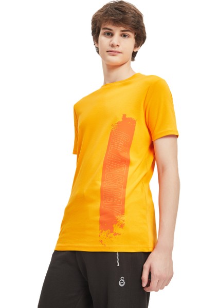 Galatasaray Erkek T-Shirt Y241210 fiyatları