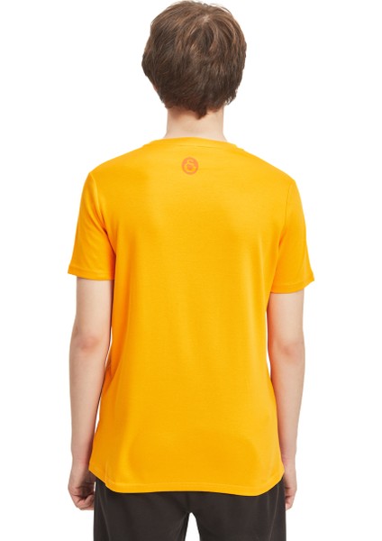 Galatasaray Erkek T-Shirt Y241210 fırsatları