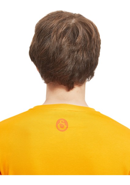 Galatasaray Erkek T-Shirt Y241210 indirimleri