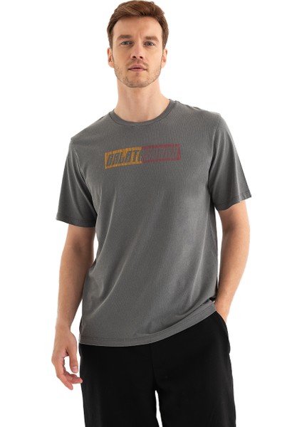 Galatasaray Erkek T-Shirt 12270029 fiyatları