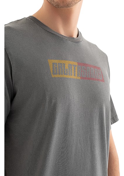 Galatasaray Erkek T-Shirt 12270029 fırsatları